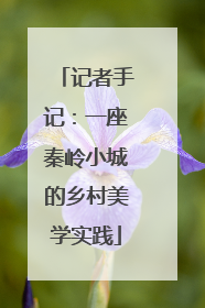 记者手记：一座秦岭小城的乡村美学实践
