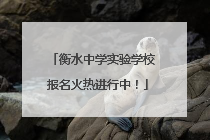 衡水中学实验学校报名火热进行中！
