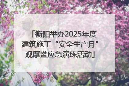 衡阳举办2025年度建筑施工“安全生产月”观摩暨应急演练活动