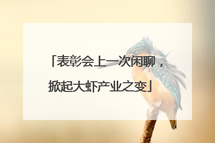 表彰会上一次闲聊，掀起大虾产业之变