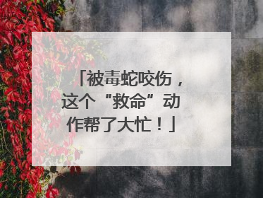 被毒蛇咬伤，这个“救命”动作帮了大忙！