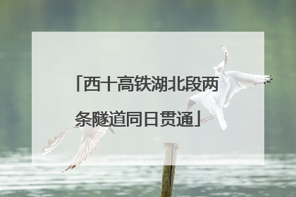 西十高铁湖北段两条隧道同日贯通