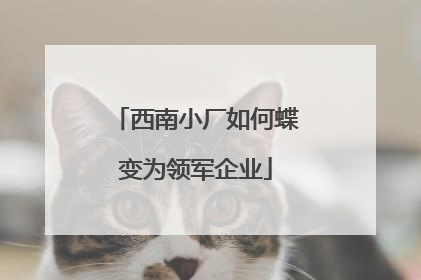 西南小厂如何蝶变为领军企业