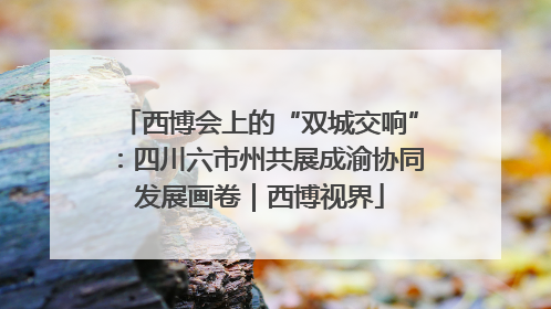 西博会上的“双城交响”：四川六市州共展成渝协同发展画卷｜西博视界
