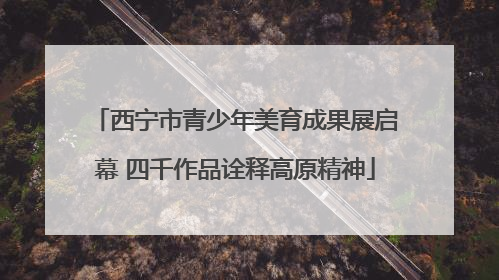 西宁市青少年美育成果展启幕 四千作品诠释高原精神
