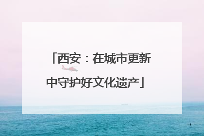 西安：在城市更新中守护好文化遗产