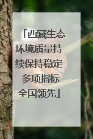 西藏生态环境质量持续保持稳定 多项指标全国领先