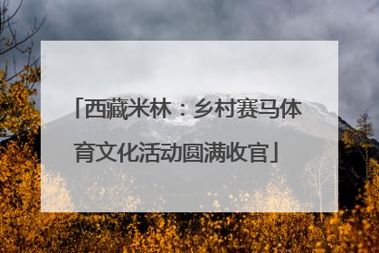 西藏米林：乡村赛马体育文化活动圆满收官