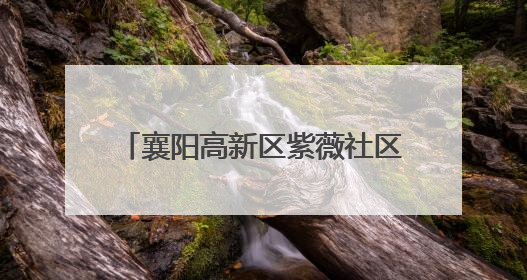 襄阳高新区紫薇社区举办“粽情邻里，手作传香”主题活动