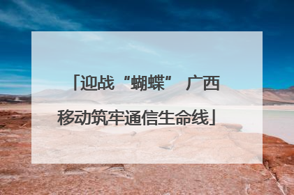 迎战“蝴蝶” 广西移动筑牢通信生命线