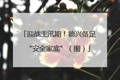 迎战主汛期！德兴备足“安全家底”（图）