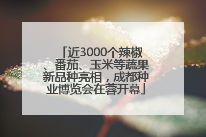 近3000个辣椒、番茄、玉米等蔬果新品种亮相，成都种业博览会在蓉开幕