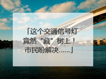 这个交通信号灯竟然“藏”树上！市民盼解决……
