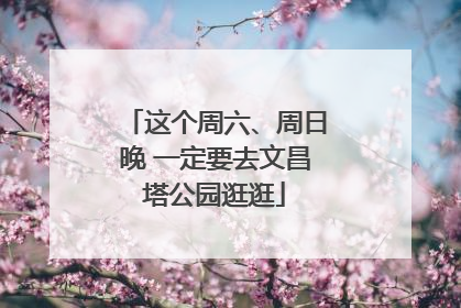 这个周六、周日晚 一定要去文昌塔公园逛逛