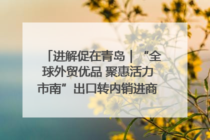 进解促在青岛｜“全球外贸优品 聚惠活力市南”出口转内销进商超专场活动启动