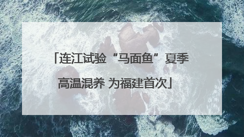 连江试验“马面鱼”夏季高温混养 为福建首次