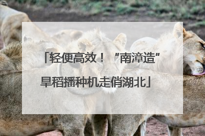 轻便高效！“南漳造”旱稻播种机走俏湖北