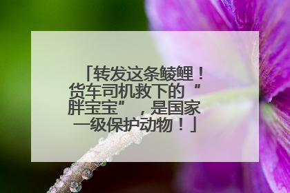 转发这条鲮鲤！货车司机救下的“胖宝宝”，是国家一级保护动物！