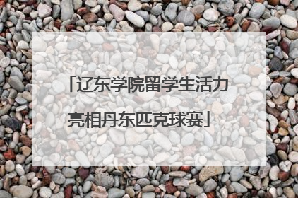 辽东学院留学生活力亮相丹东匹克球赛
