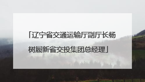 辽宁省交通运输厅副厅长杨树履新省交投集团总经理