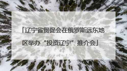辽宁省贸促会在俄罗斯远东地区举办“投资辽宁”推介会