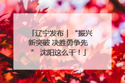 辽宁发布｜“振兴新突破 决胜勇争先” 沈阳这么干！
