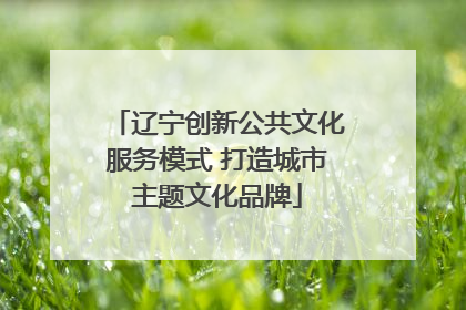 辽宁创新公共文化服务模式 打造城市主题文化品牌