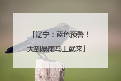 辽宁：蓝色预警！大到暴雨马上就来