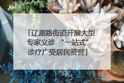 辽源路街道开展大型专家义诊 “一站式”诊疗广受居民赞誉