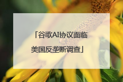 谷歌AI协议面临美国反垄断调查