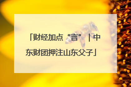 财经加点“言”｜中东财团押注山东父子