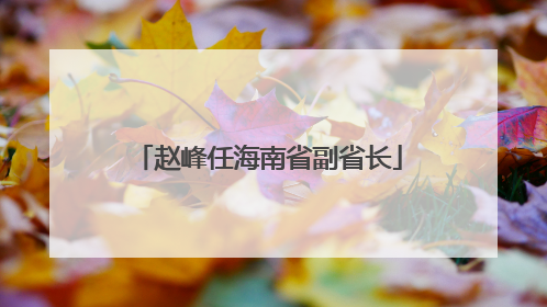 赵峰任海南省副省长