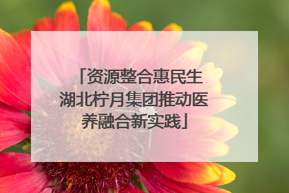 资源整合惠民生 湖北柠月集团推动医养融合新实践