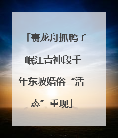 赛龙舟抓鸭子 岷江青神段千年东坡婚俗“活态”重现
