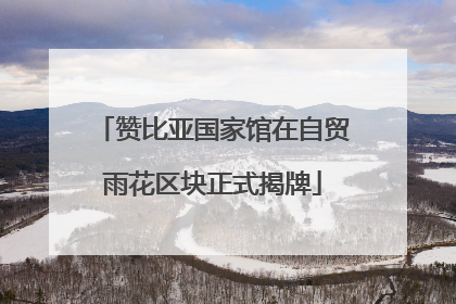 赞比亚国家馆在自贸雨花区块正式揭牌