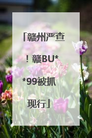 赣州严查！赣BU**99被抓现行