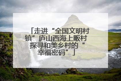 走进“全国文明村镇”庐山西海上畈村 探寻和美乡村的“幸福密码”
