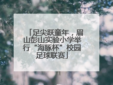 足尖跃童年，眉山彭山实验小学举行“海豚杯”校园足球联赛
