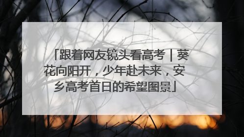 跟着网友镜头看高考｜葵花向阳开，少年赴未来，安乡高考首日的希望图景
