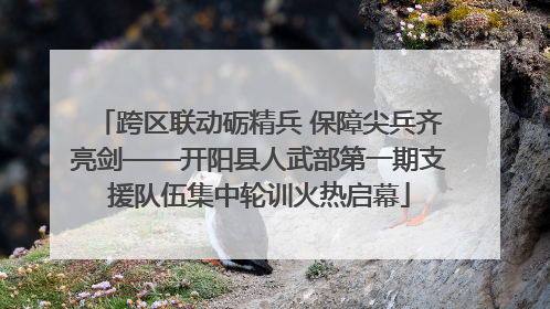 跨区联动砺精兵 保障尖兵齐亮剑——开阳县人武部第一期支援队伍集中轮训火热启幕