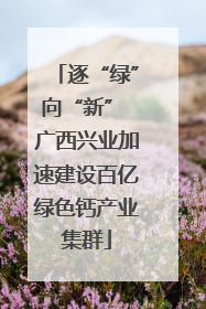逐“绿”向“新” 广西兴业加速建设百亿绿色钙产业集群