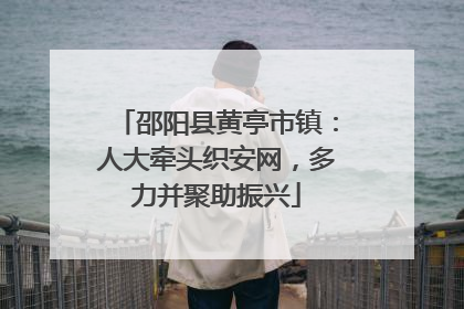 邵阳县黄亭市镇：人大牵头织安网，多力并聚助振兴