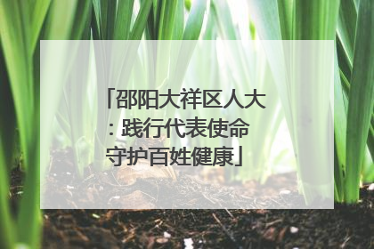 邵阳大祥区人大：践行代表使命 守护百姓健康