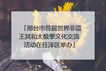 邢台市首届世界非遗王其和太极拳文化交流活动在任泽区举办