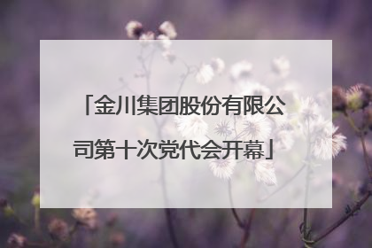金川集团股份有限公司第十次党代会开幕