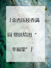 金杏压枝香满园 帮扶结出“幸福果”