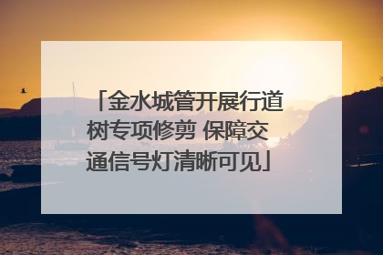 金水城管开展行道树专项修剪 保障交通信号灯清晰可见