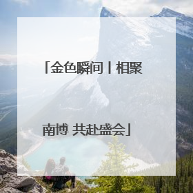 金色瞬间丨相聚南博 共赴盛会