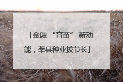 金融 “育苗” 新动能，莘县种业拔节长