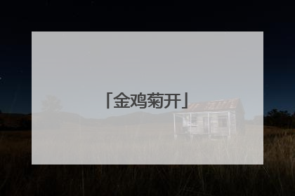 金鸡菊开